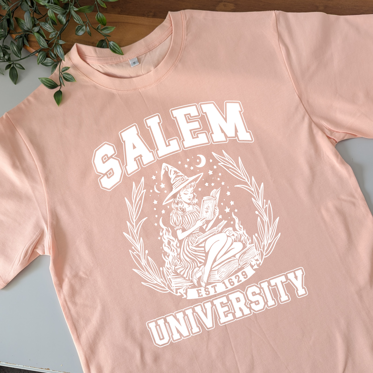 Salem Universtiy Tshirt