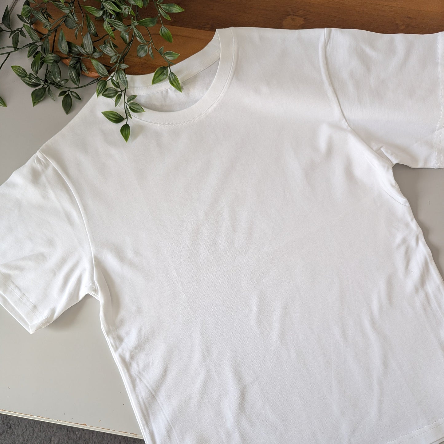 The Blank Tshirt