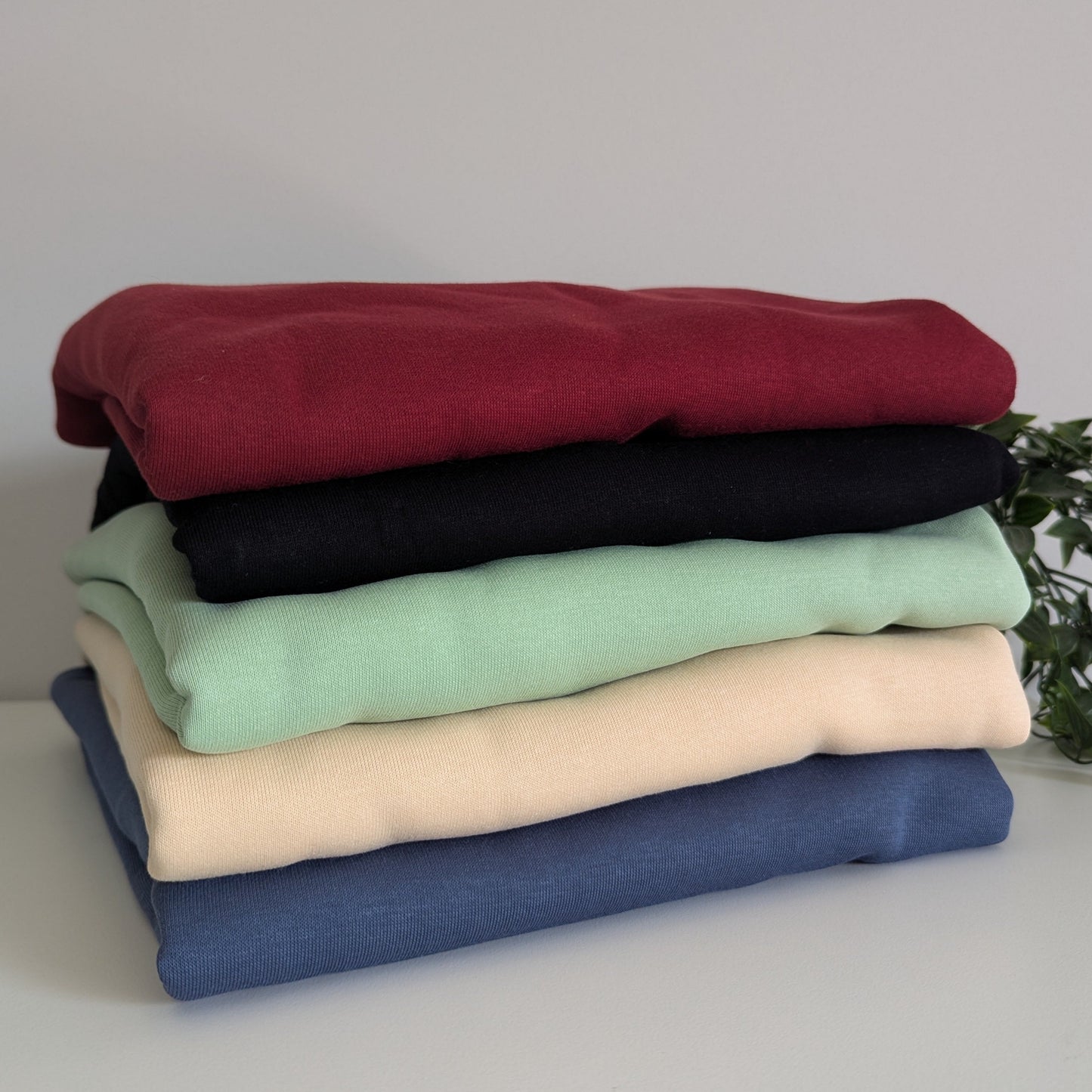 The Crewneck Jumper Blank